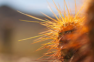 放心的代充平台推荐的轰炸电话软件